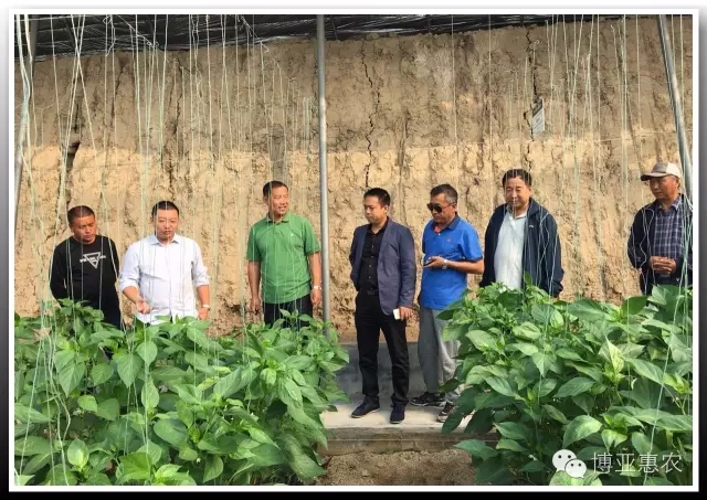 2016中國北方綠化苗木博覽會收官 博亞惠農(nóng)滿載而