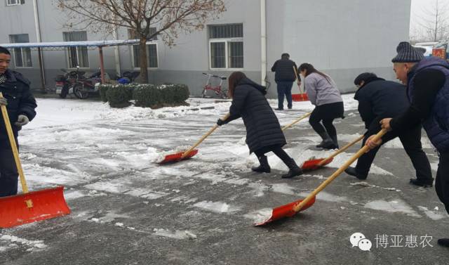瑞雪兆豐年 勞動最快樂——公司組織員工開展掃
