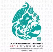 2020年聯(lián)合國生物多樣性大會會標發(fā)布