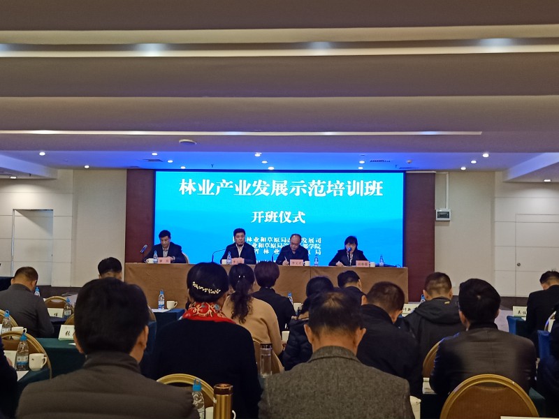 展鵬集團(tuán)：受邀參加全國林業(yè)產(chǎn)業(yè)發(fā)展示范培訓(xùn)